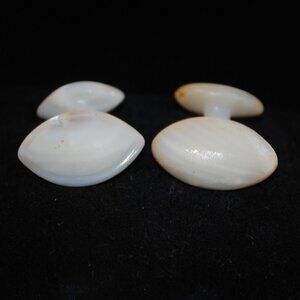 Antique Carved Mother of Pearl Shell Cufflinks